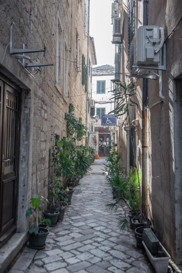 Sasha Di Cattaro - Old Town Lux Apartment Bagian luar foto